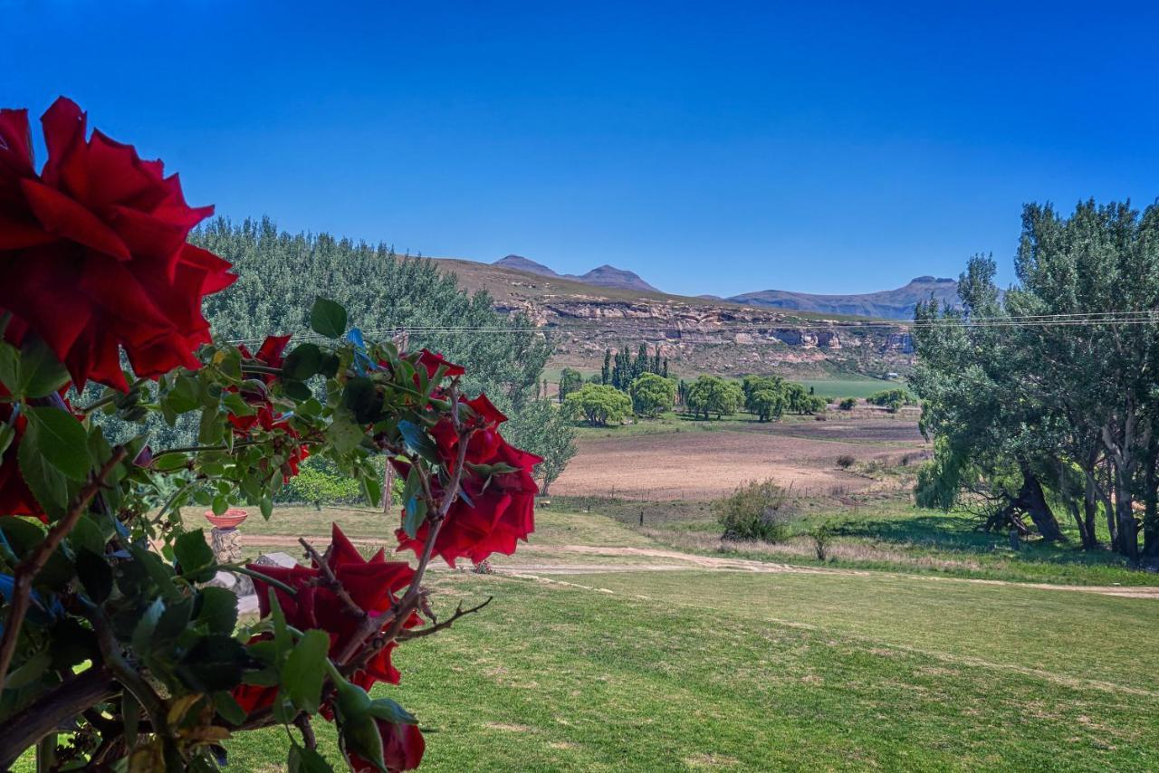 Linwood Guest Farm Clarens Exterior foto